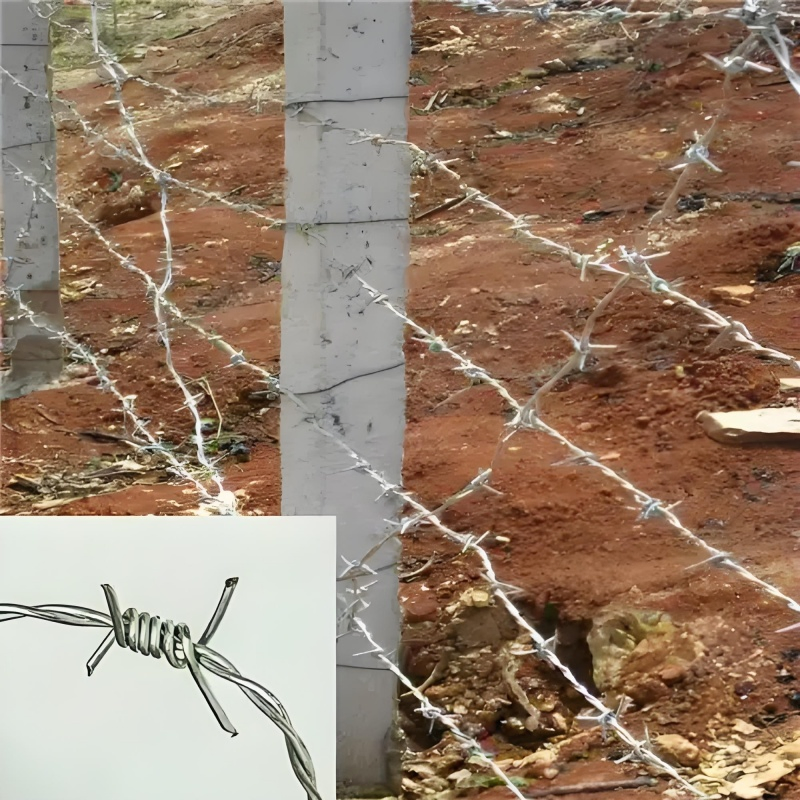 Premium 500 Meter Barbed Wire for Long-Lasting Security Fencing