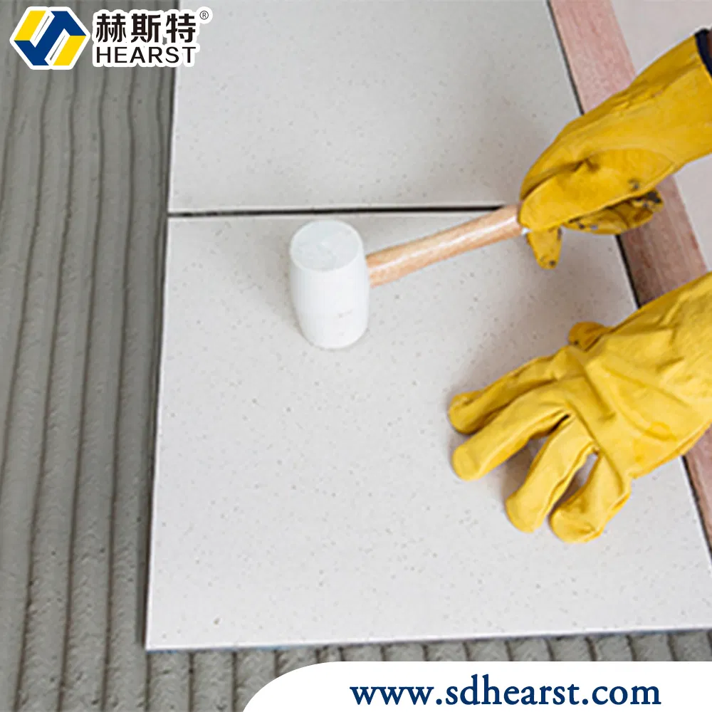 Factory Outlet Redispersible Polymer Powder Rdp for Dry-Mixed Waterproofing Mortar