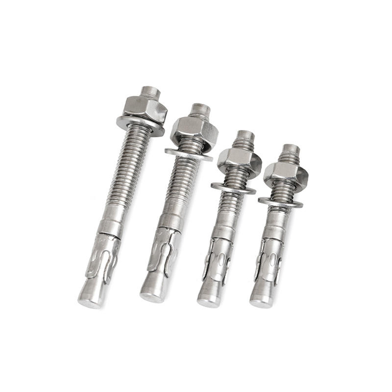 Fastener 304 316 Stainless Steel Concrete Through Expansion Wedge Anchor Bolt
