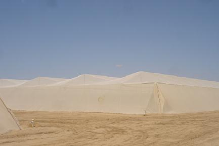 Aphid Netting Agricultural Anti Insect Net