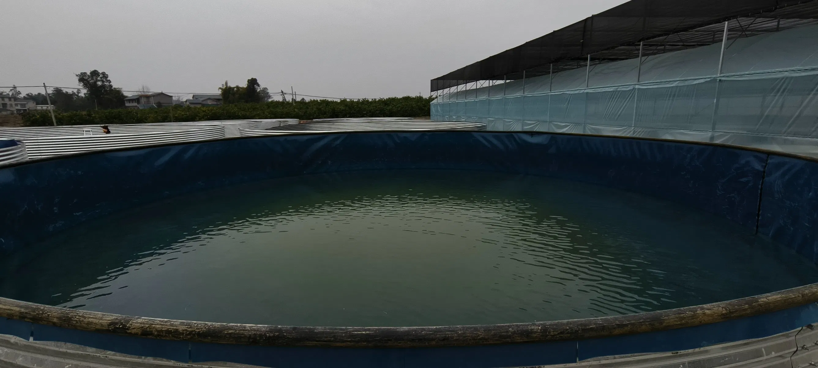 750 Microns HDPE Geomembrane Fish Farming Liner LDPE EPDM PVC Water Reservoir Geomembrane