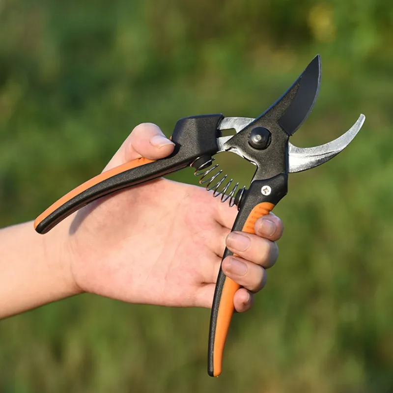 Pruning Garden Fruit Tree Shears Hand Pruning Shears