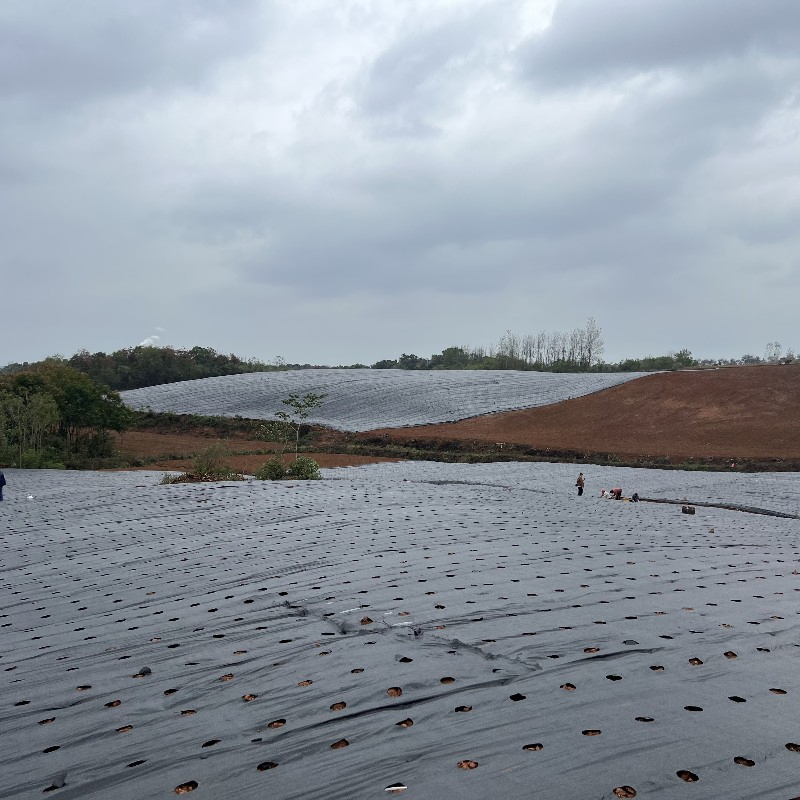 Heavy Duty Weed Barrier Landscape Fabric Weed Proof Cloth