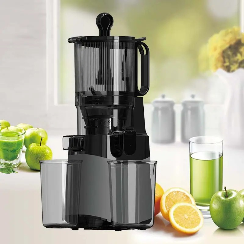 Hot Popular 100% Full Test Multifunctional Parts Slow Juicer Supplier in China