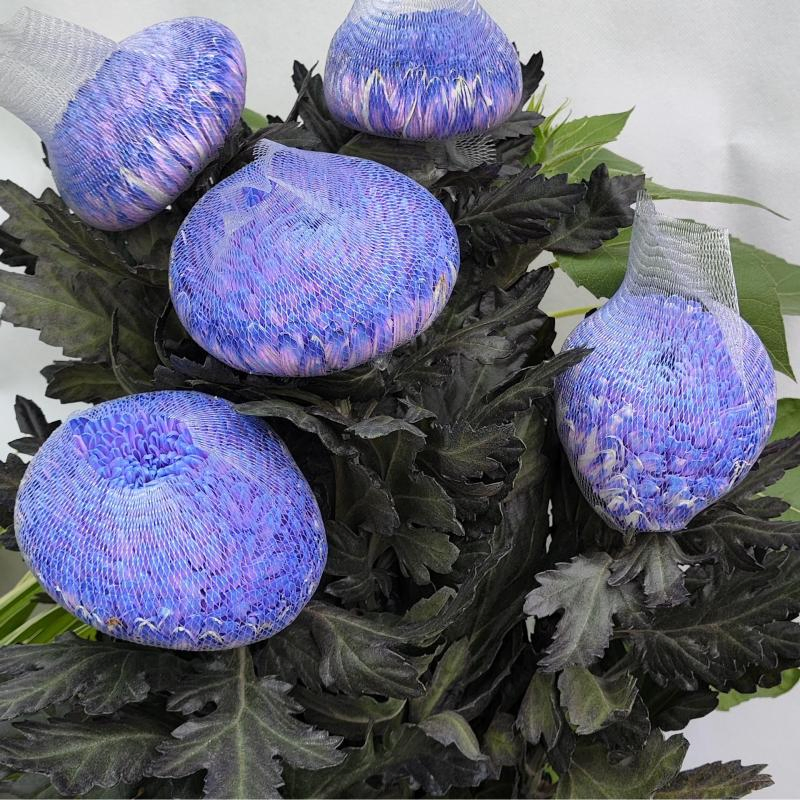 Защитные сетчатые подложки для цветов Premium Flower Export