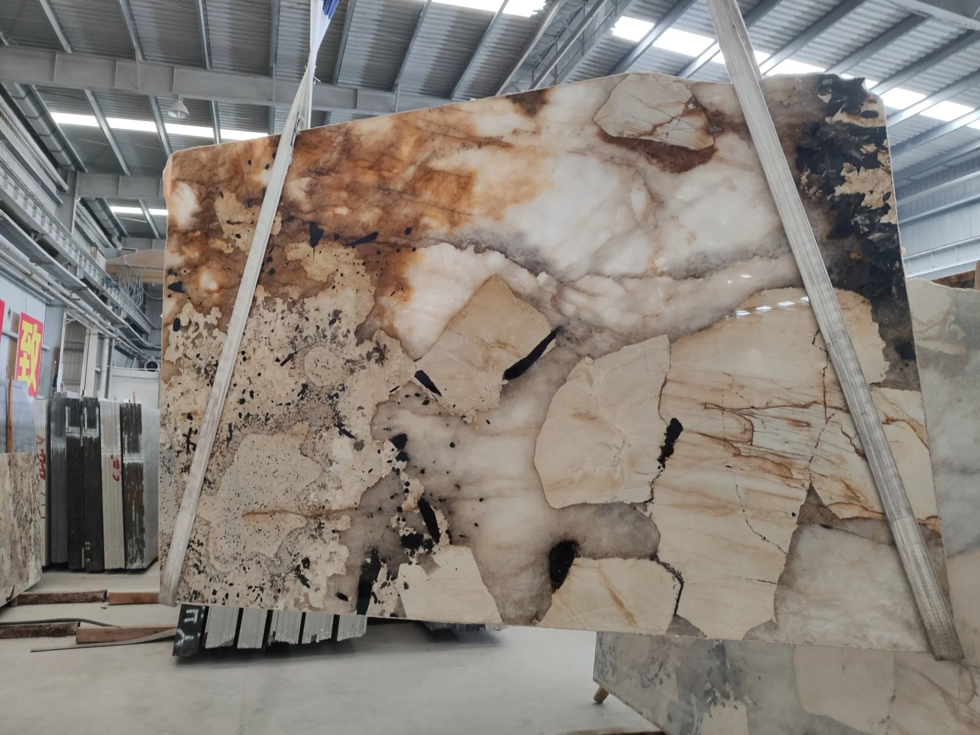 Patagonia White Brazil Multicolor Quartzite for Tiles & Slabs