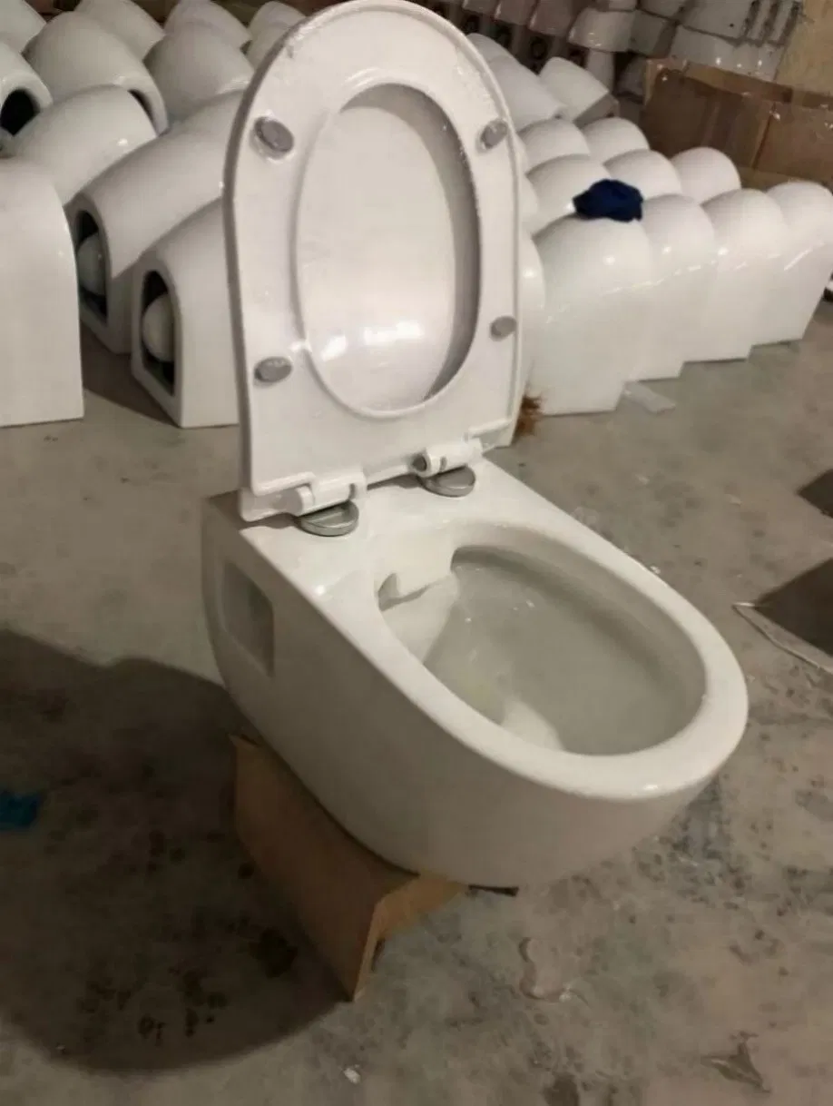 Multi-Color Premium Easy to Clean Ceramic One Piece Toilet