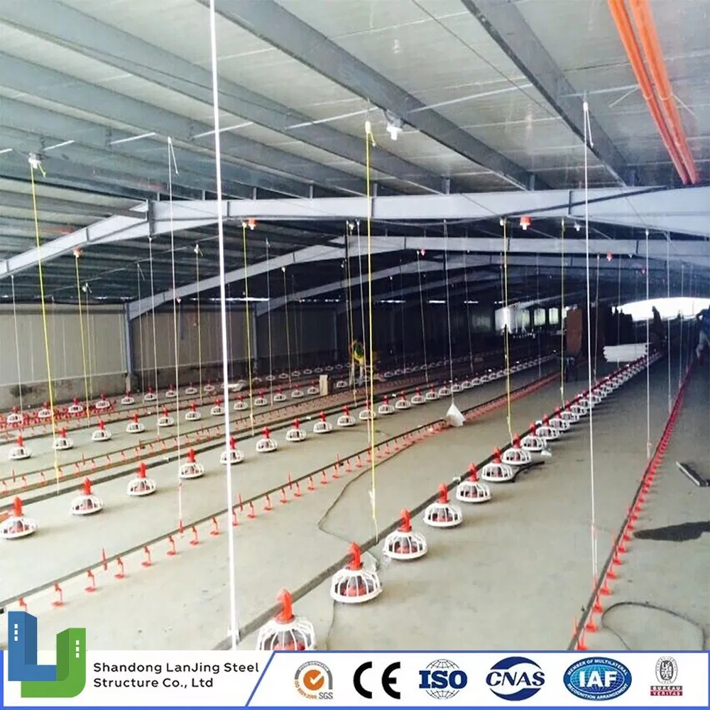 Steel Structure Layer Egg Chicken Broiler Poultry House Prefabricated Building for Ethiopia/Uganda/Zimbabwe