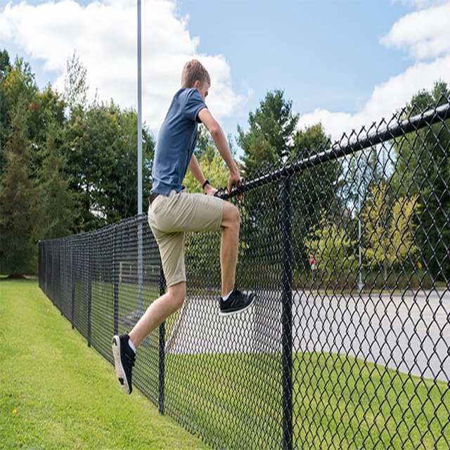 Customized 6 Feet High PVC Coated Cyclone Wire Mesh Chain Link Fence