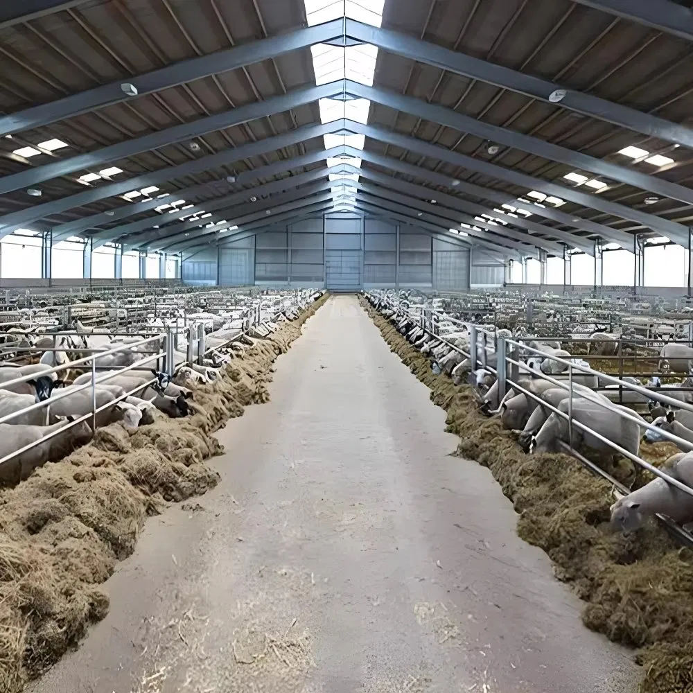 Robust Steel Framework for Reliable Livestock Farming Solutions