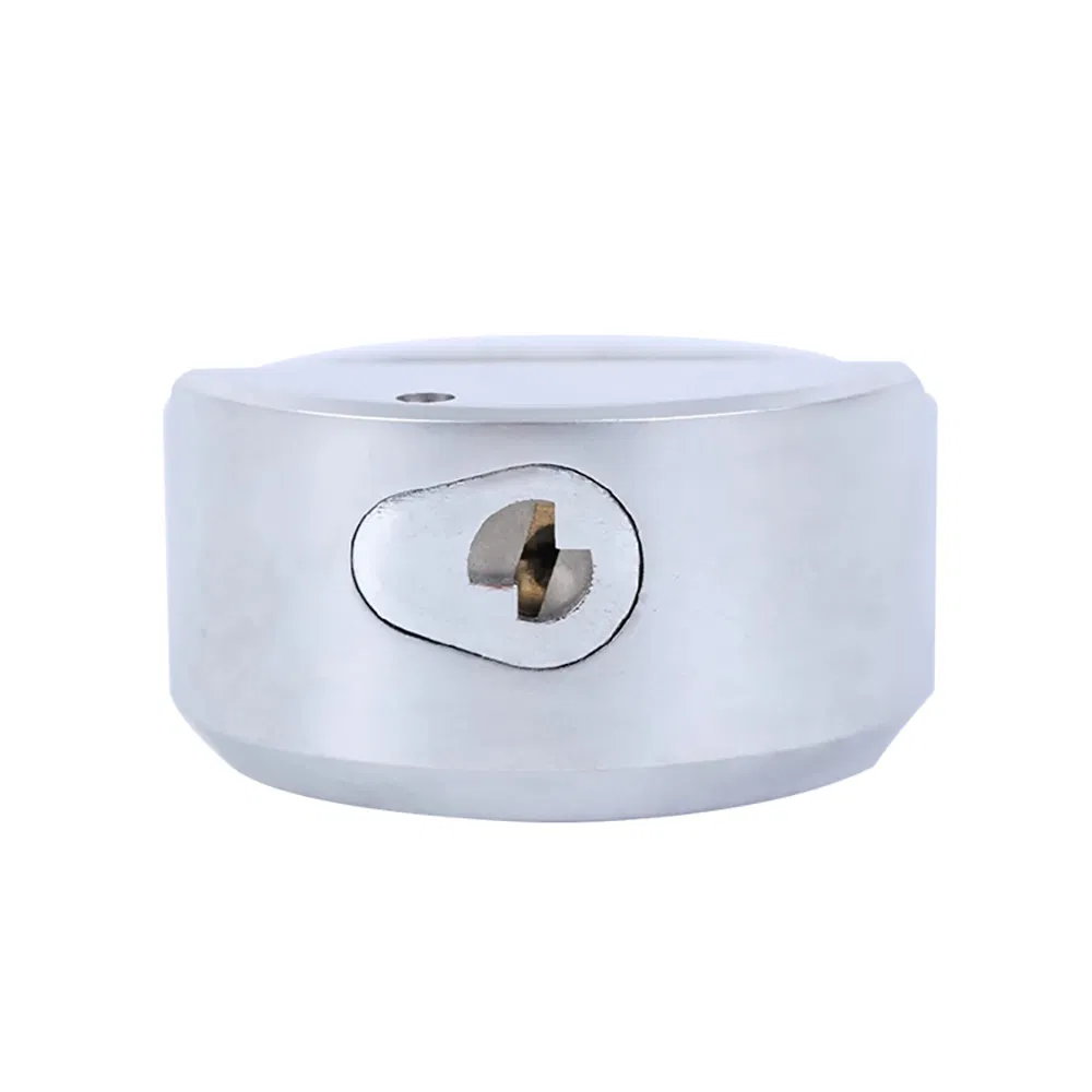 Puck Shackleless Stainless Steel Lock Van Lock