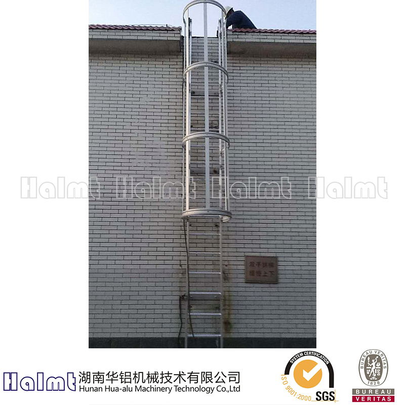 Aluminum Vertical Ladder with Protection Cage