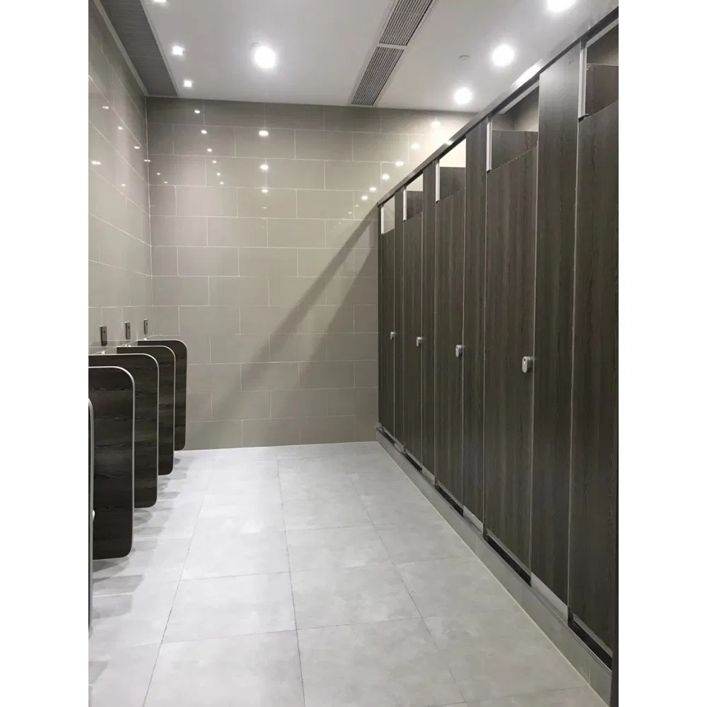 Chemical Resistant Full Height Phenolic Board Hospitals HPL Panel Toilet Cubicle Partition Board