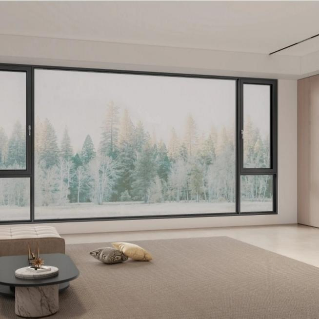 Clear Class Reflective Tinted Glass for Building/House