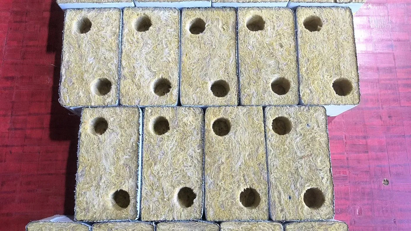 2025 New Seeds Growing Hydroponic Rock Wool Plant Cubes with 2 Holes