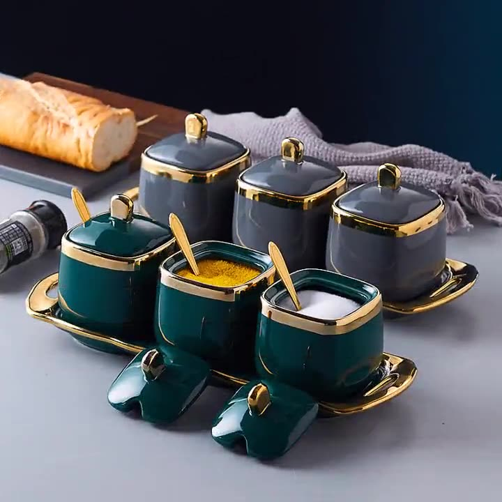 Luxury Ceramic Spice Jars Set Elegant Kitchen Organizer for Home Cooking