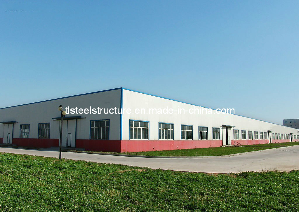 Eonomic Customized China Design Steel Structure Building