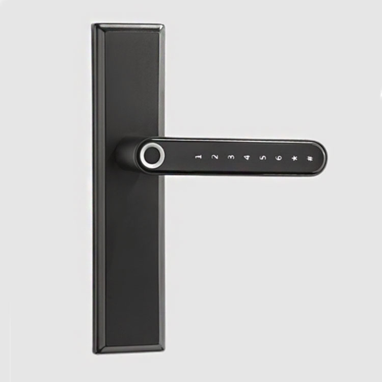 Biometrics Tt Lock APP Double Fingerprint Smart Door Lock