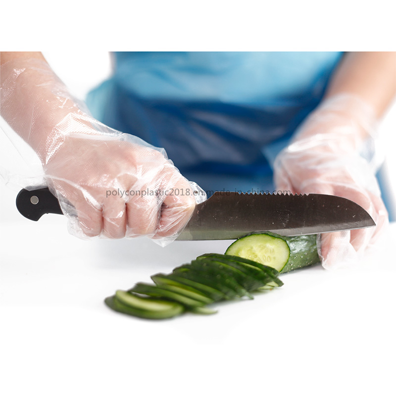 Disposable Food PE Gloves Kitchen Gloves for Worldwide