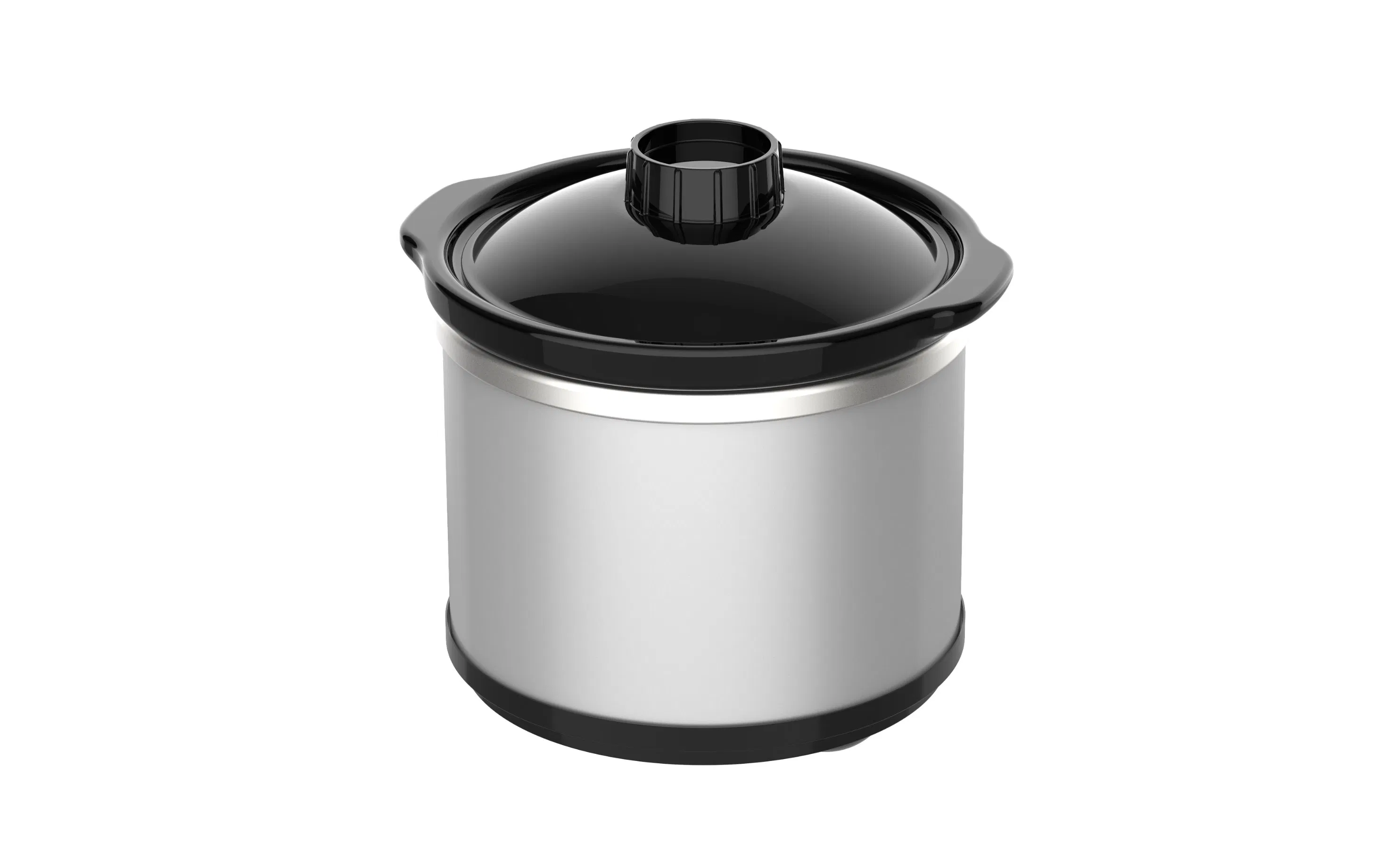 0.65qt Programmable Slow Cooker with Advanced Cooking Features
