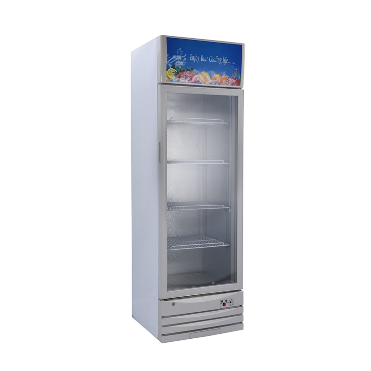 LC-268 Litters Upright Showcase with Glass Door and 12V DC Compressor