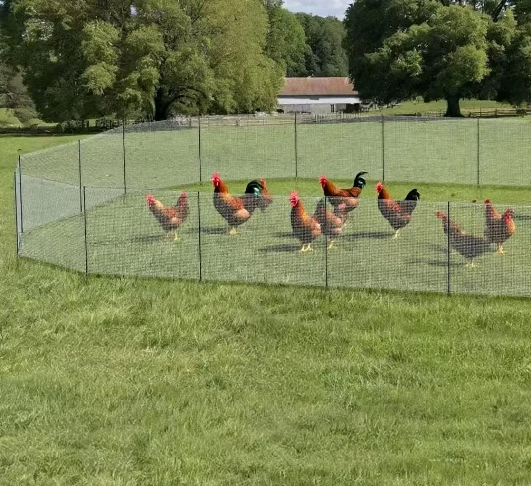 15 Meter Long Poultry Net Fence for Chickens and Sheep, Durable Chicken Coop and Door Products