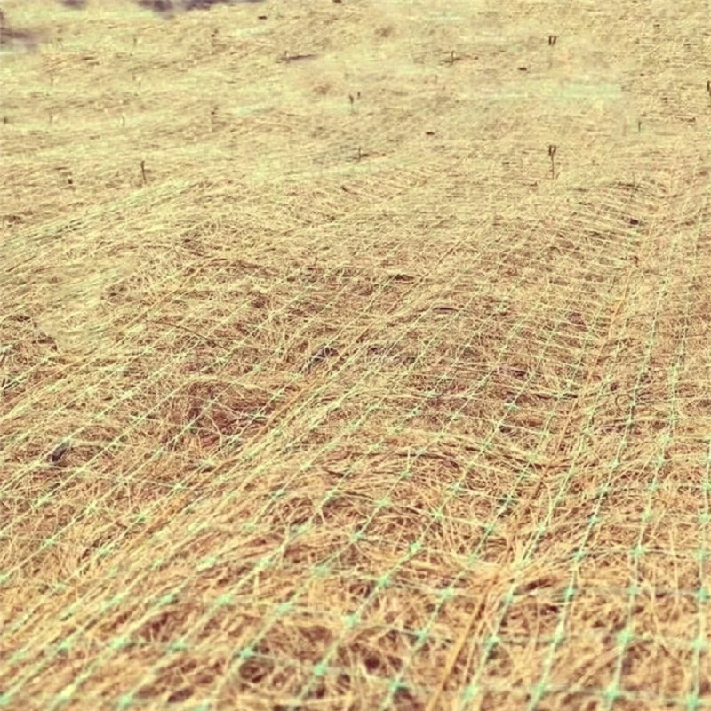 Tr Coconut Fiber Erosion Control Blanket for Sustainable Soil Stabilization