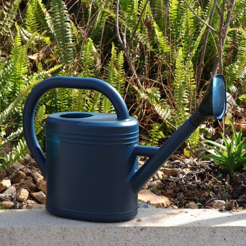 Retro 8L Plastic Watering Can with Ergonomic Handles
