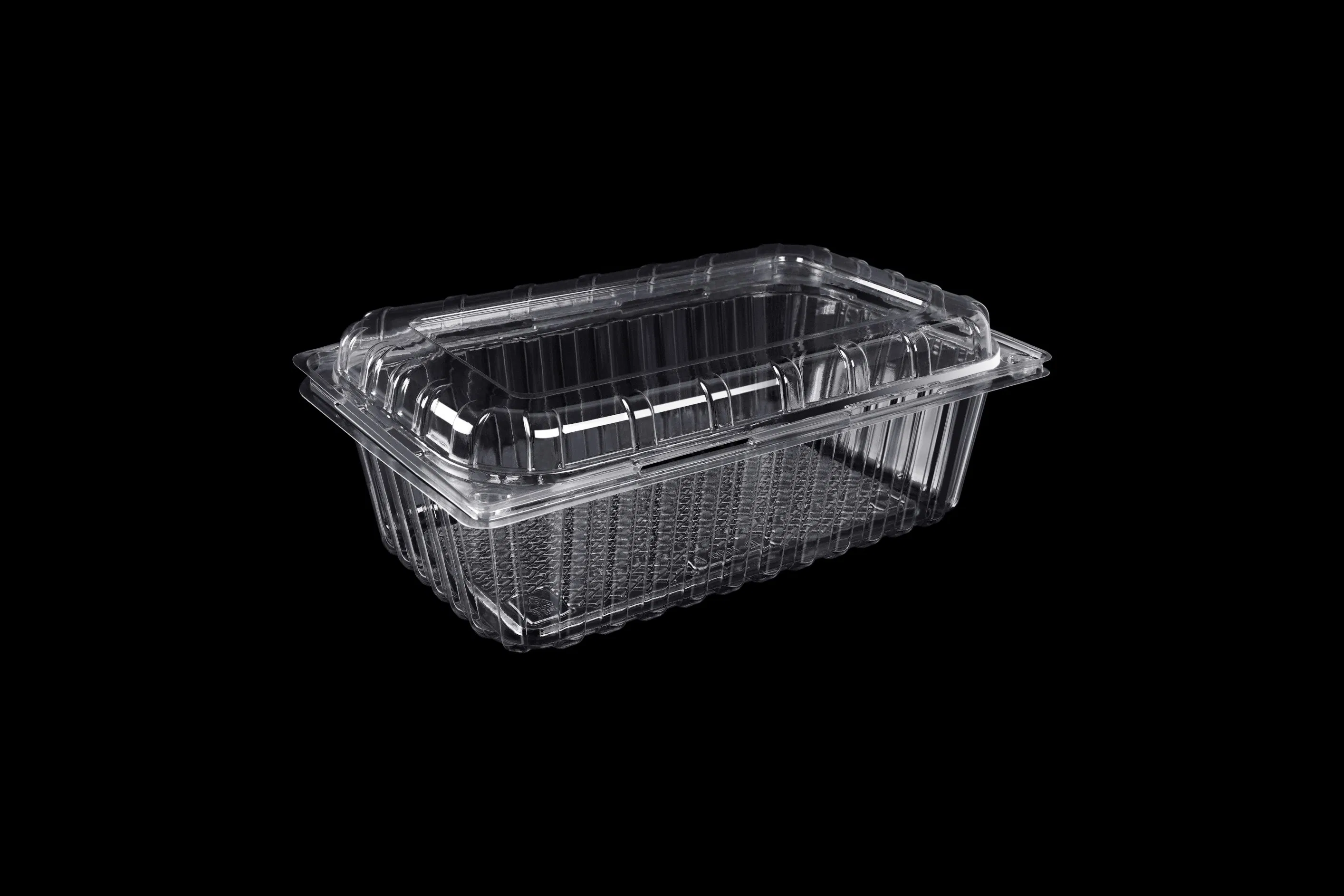 Clamshell Blister Packaging Wholesale Transparent Takeout Boxes Plastic Fruit Tray Food Packaging Container