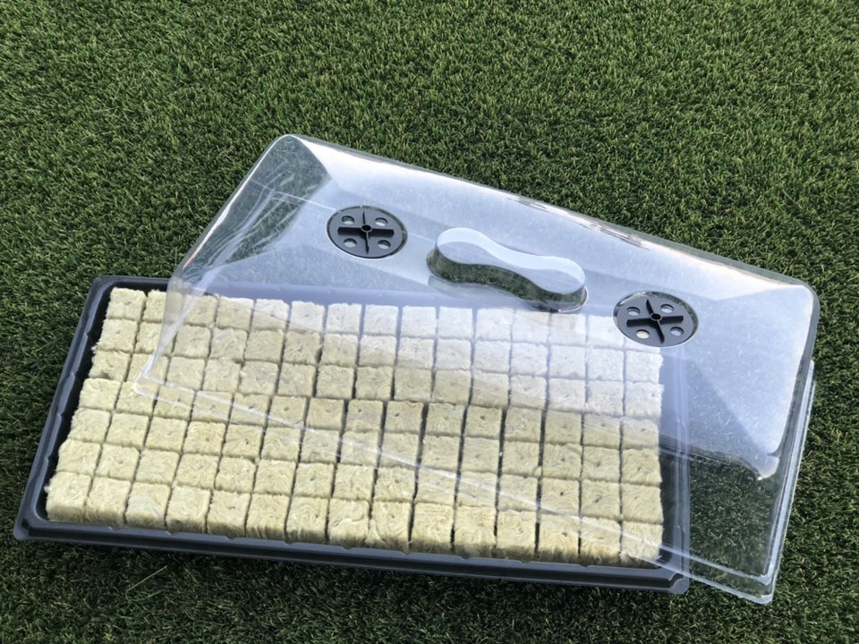 Hydroponics 72 Cell Garden Seed Germination Tray Chamber Kit with Heat Mat Seedling Trays