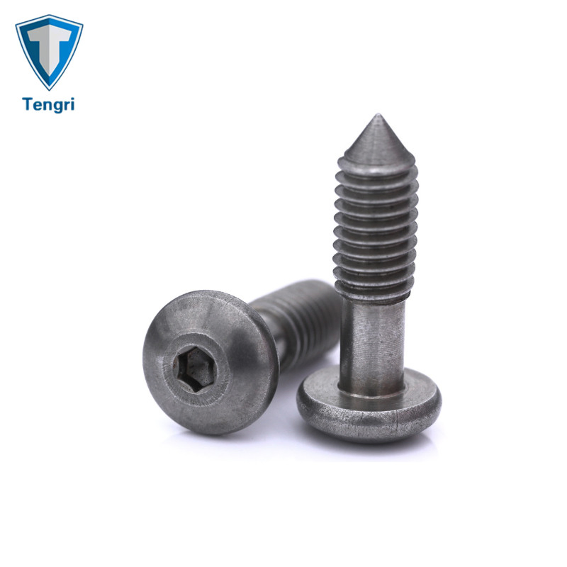 Hardware Hexagon Pan Head Socket Captive Screw with Cone Point