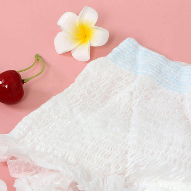 Dailys Overnight Leakage Private Label Super Absorption Disposable Menstrual Period Pant