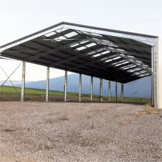 Durable Heavy-Duty Steel Shed for Quick Assembly and Longevity