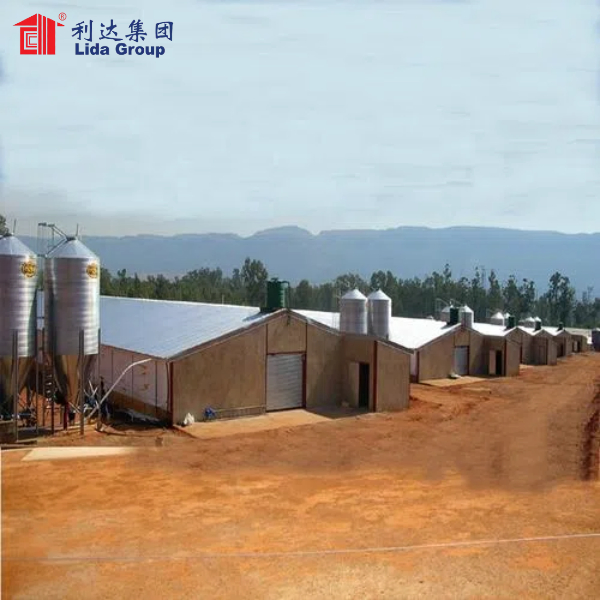 Steel Structure Poultry Farming /Poultry Farm House for Malaysia Market