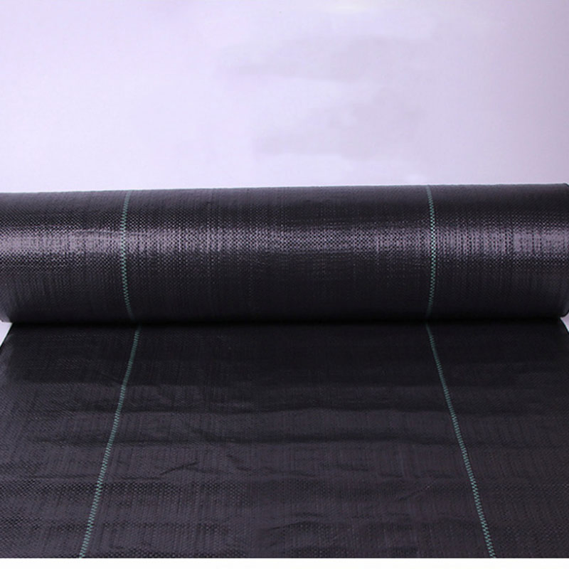 Wholesale Black Breathable Green Garden PP Material Weed Control Cloth