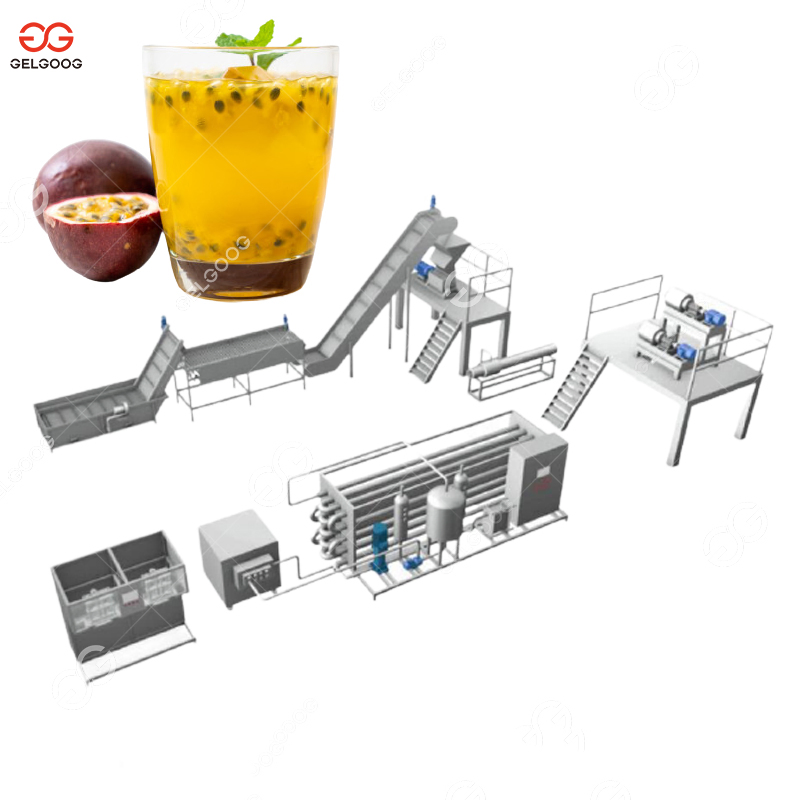 Fruit Juice Extractor (GGJE-5)