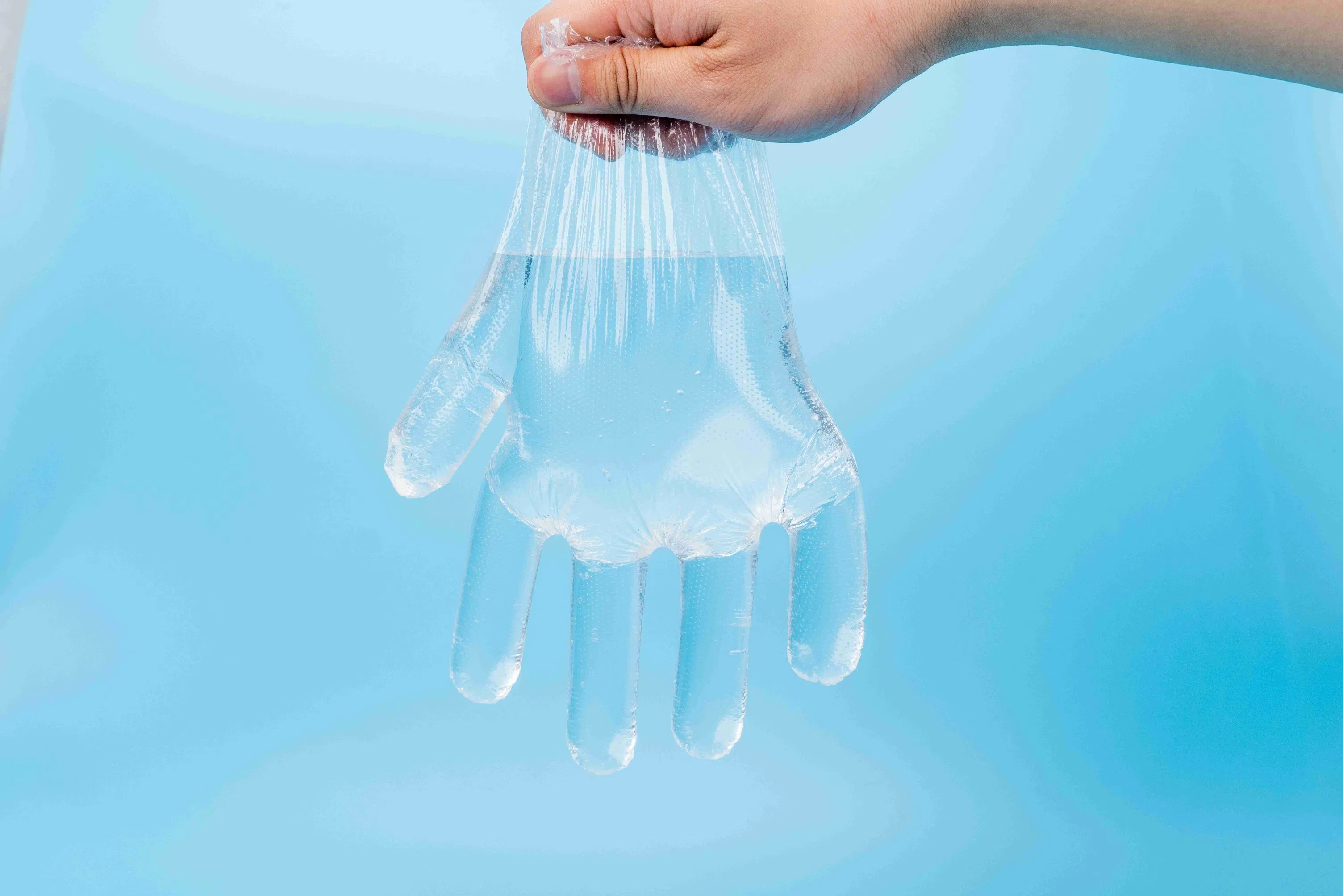 Disposable Plastic PE Gloves for Wholesale