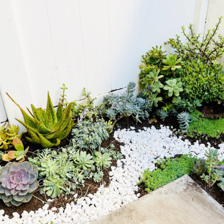 Multiple Size White Pebble Stones for Landscaping Outdoor Stones.