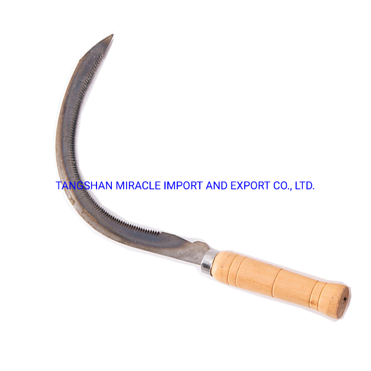 Agricultural Sawtooth Sickle Cutting Rice Water Grass Sickle for Senegal Market