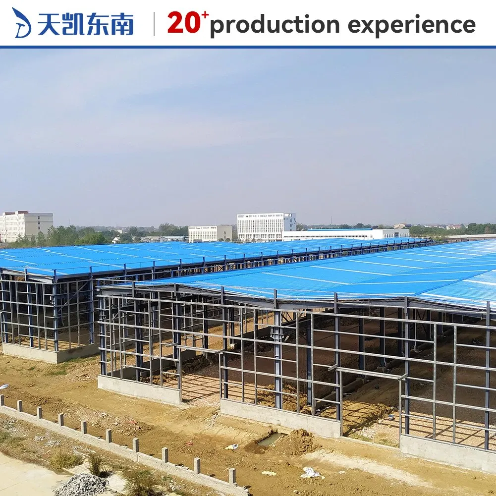 Cost Effective Steel Structure Warehouse Building