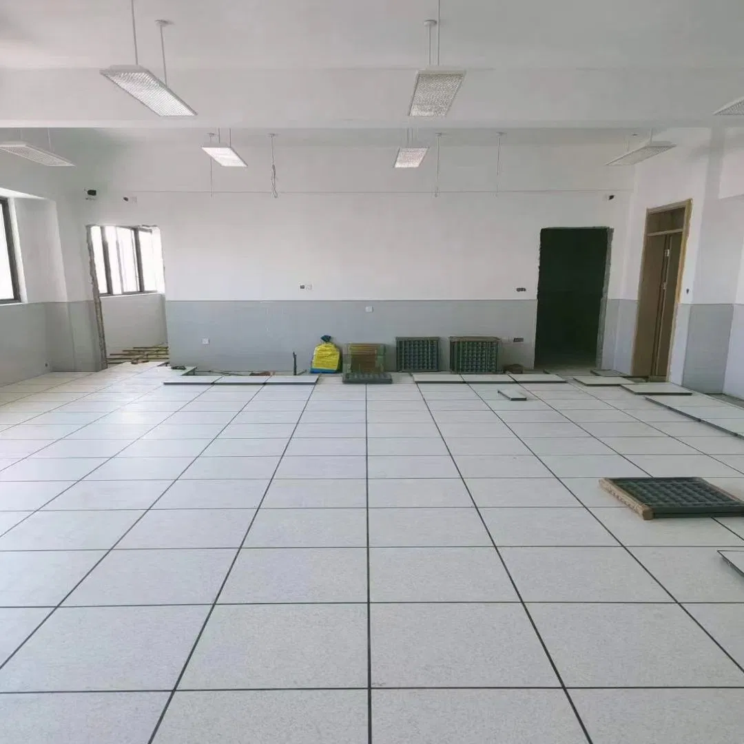 Anti Static Long-Lasting Wooden Core Raised Floor for Power Rooms