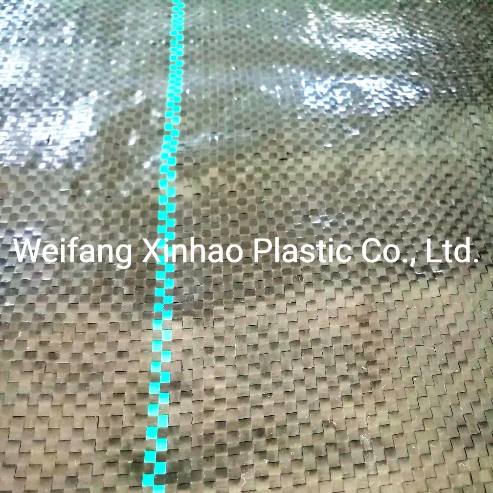 PP Weed Mat Weed Control Fabric 1X15m 1*15m 80g 85g 90g 95g 100g