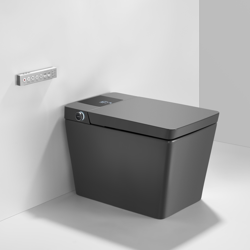 Watermark & Wels Certified Luxury Villa Bathroom Automatic Flush Lady Wash Rear Wash 220-240V SAA Approved Remote Black Control Smart Toilet