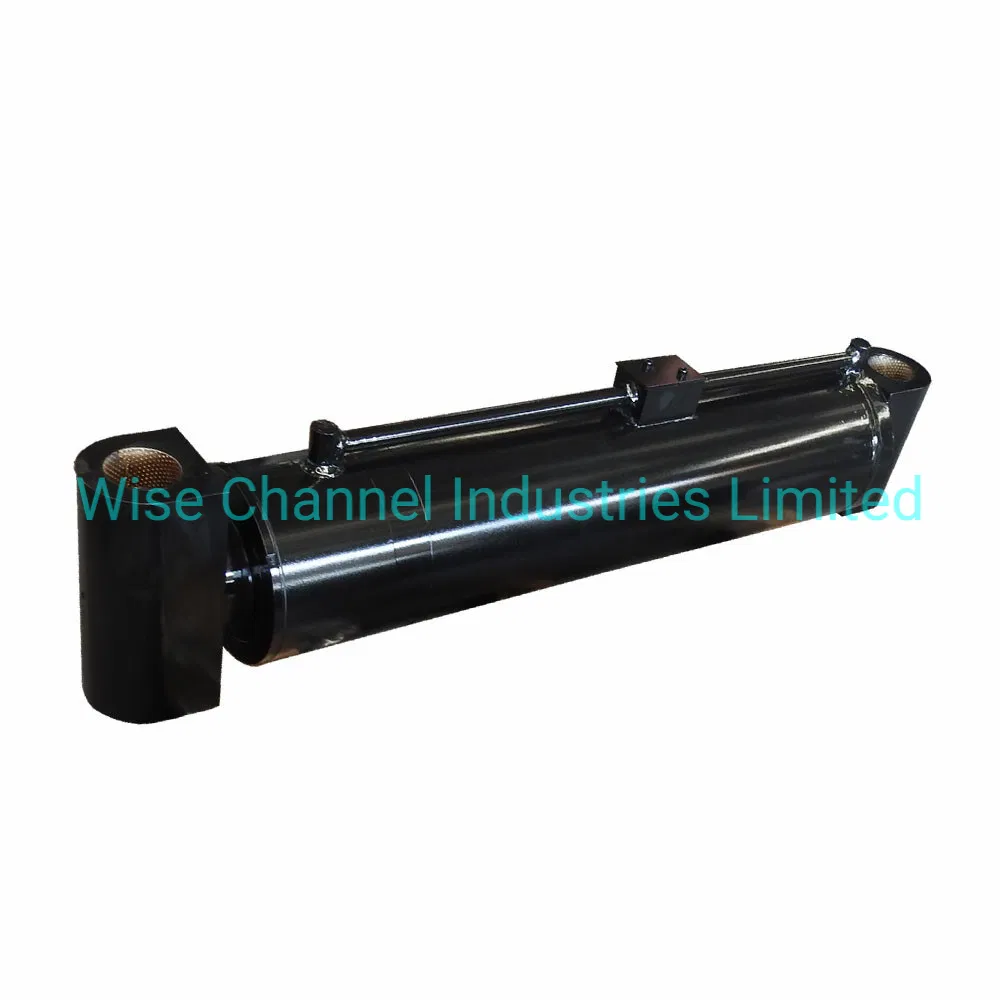 Double Acting Derricking Hydraulic Cylinder Used in Engineering