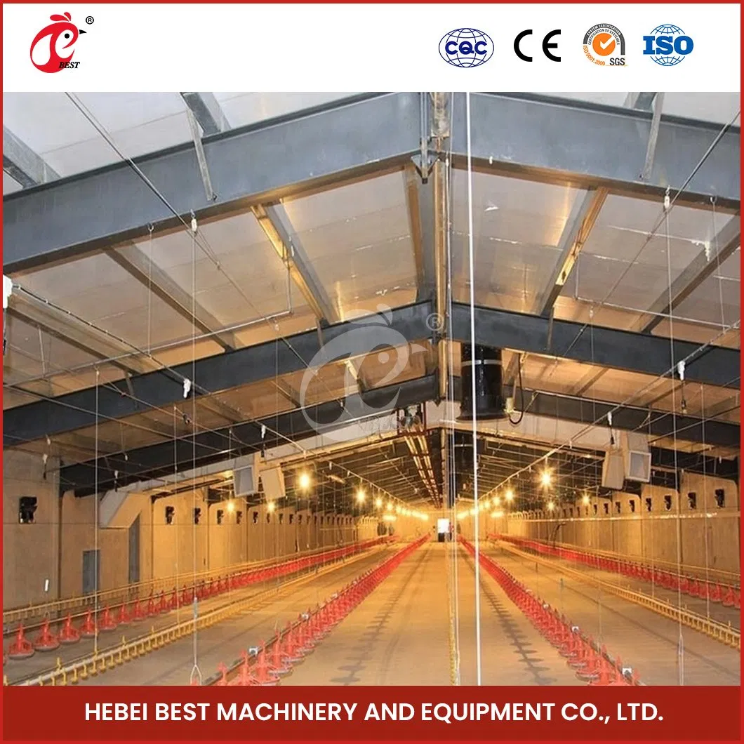 Bestchickencage Steel Poultry House China Economic Prefab Poultry House Manufacturing OEM Customized Light Weight Prefabricated Steel Poultry House