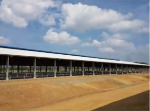 Quick Installation Supply Free Design Prefabricated Steel Structure Chicken Coop