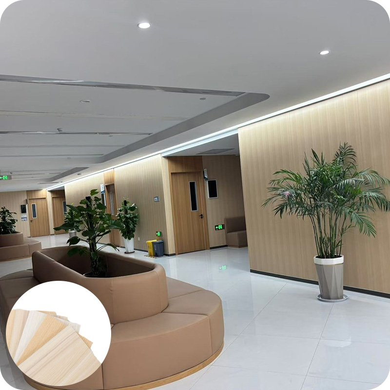 6mm Asbestos-Free Medical Clean Board, Special for Pet Hospital