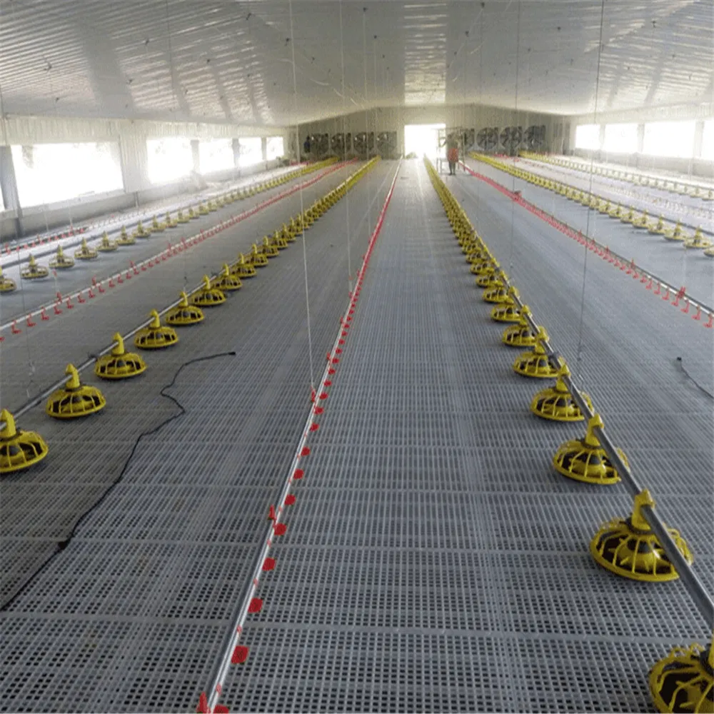 Durable Weatherproof Steel Structure Poultry House for Chickens with Automation
