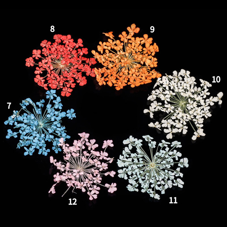 3D Nail Dried Flowers Sticker Colorful Nature Nail Art Design Nail Decals Dried Flowers