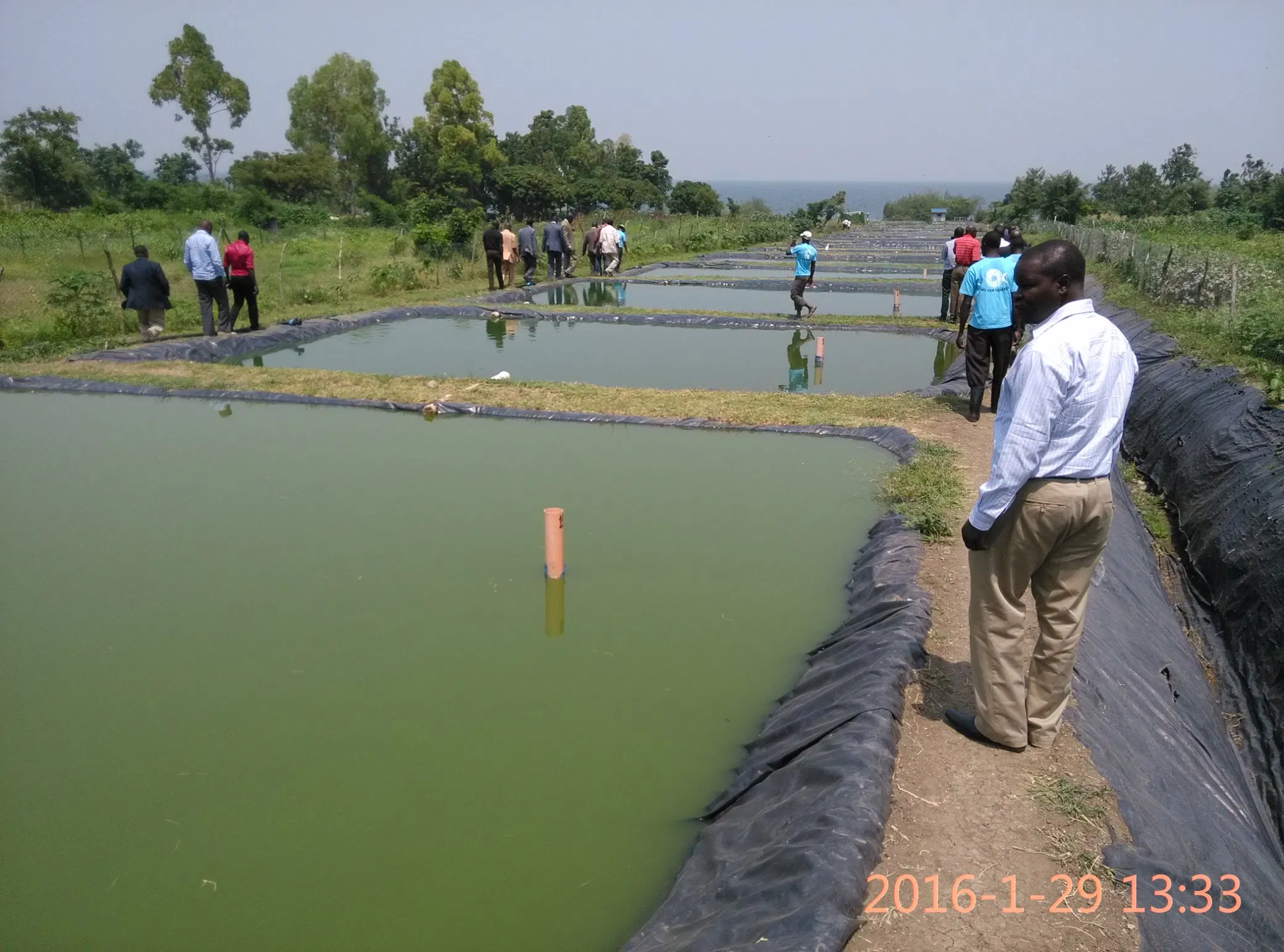 HDPE Geomembrane Pond Liner for Fish Farm